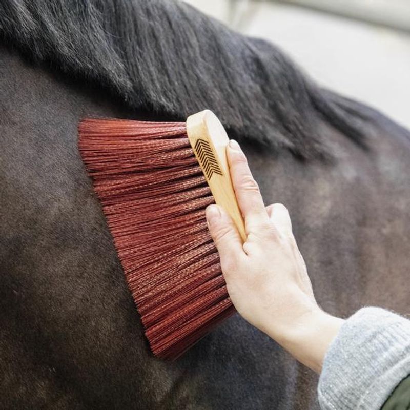 Grooming Deluxe Middle Brush Long