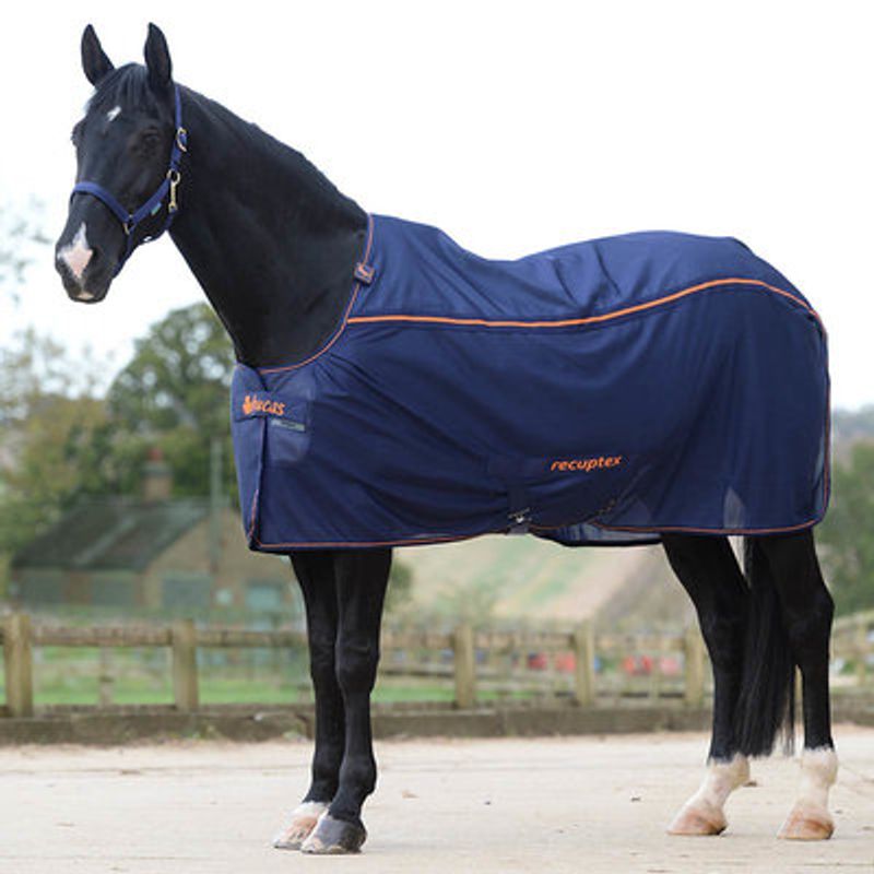 Bucas Recuptex cooler Therapy Rug