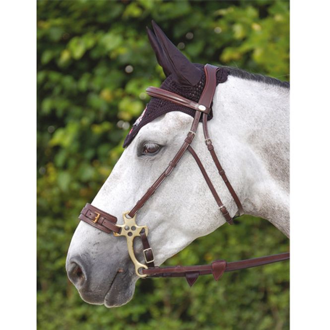 Hovedbilde Dyon Trinse til Hackamore S/S