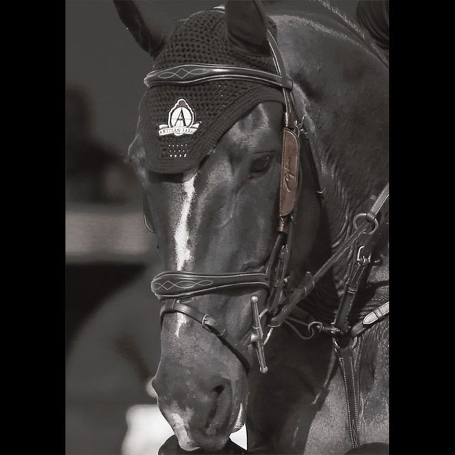 Hovedbilde Dyon blinkers