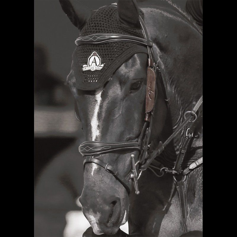 Dyon blinkers