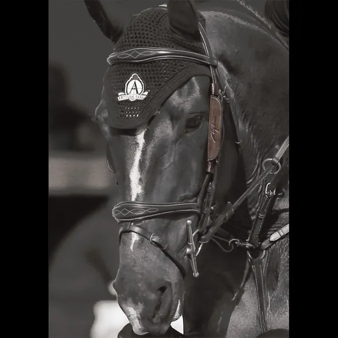 Hovedbilde Dyon blinkers
