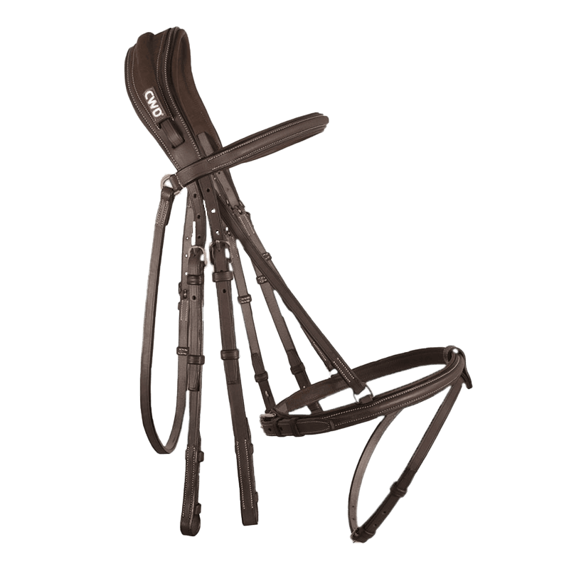 CWD Anatomisk Kandarhodelag