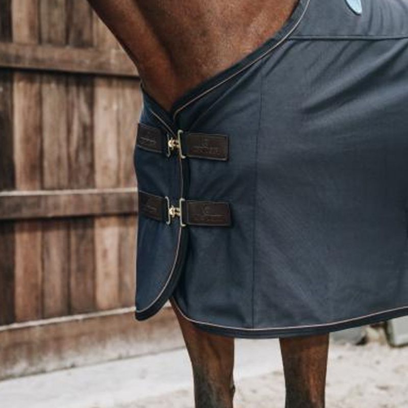 Kentucky Magnetic Rug Recuptex