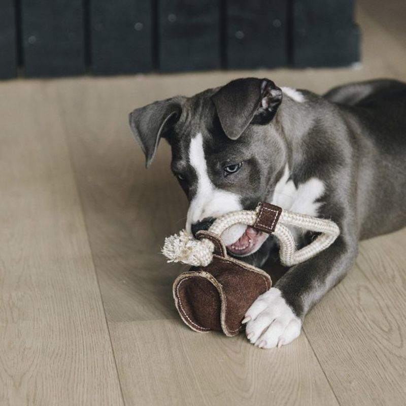 Kentucky Dog Toy Cotton Rope Baseball