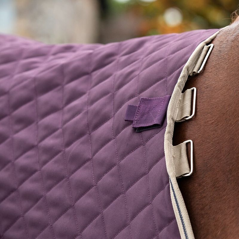 Amigo Stable Plus Med - Disc