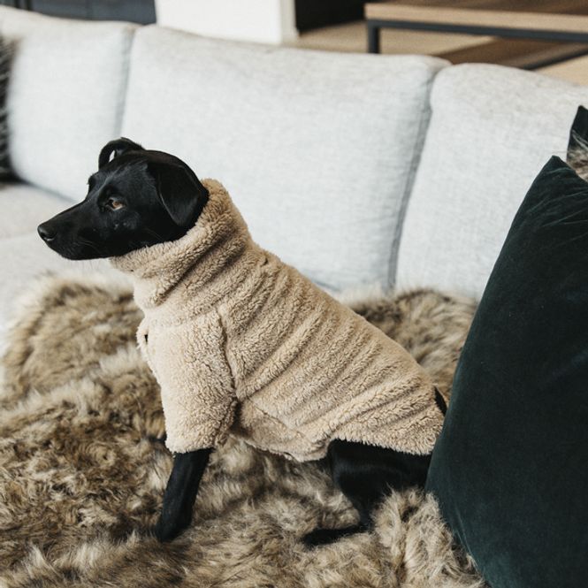 Hovedbilde Kentucky Dog Sweater Teddy ...