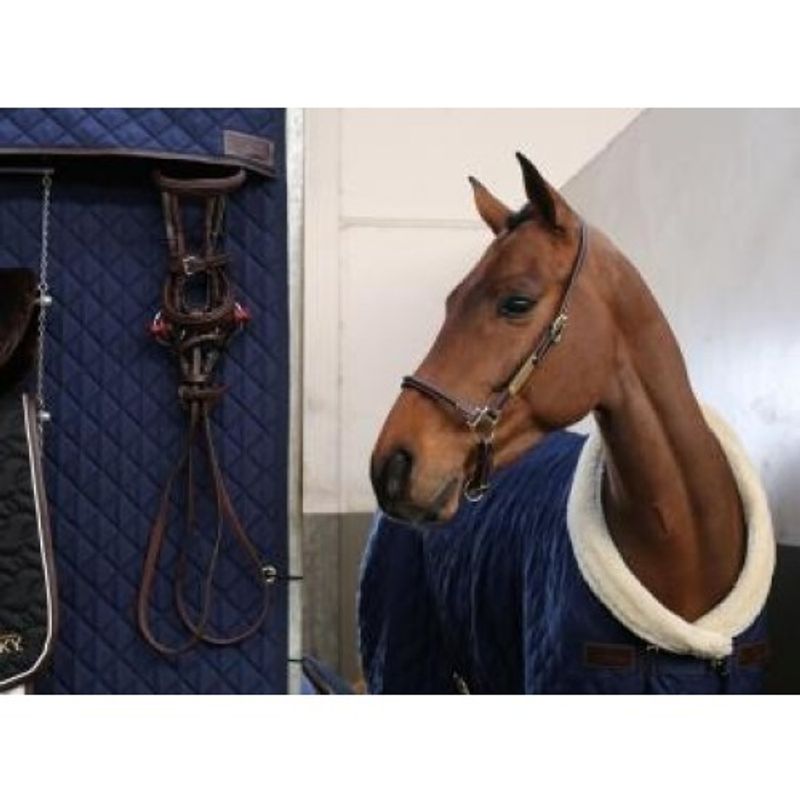 Kentucky Leather Grooming Halter