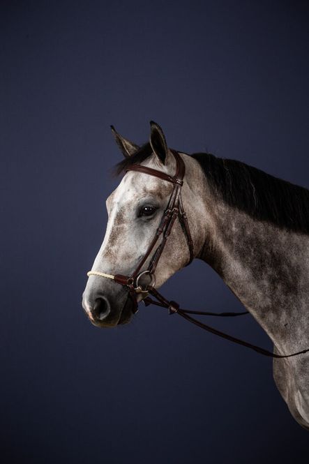 Hovedbilde Dyon Rope Drop Noseband ...