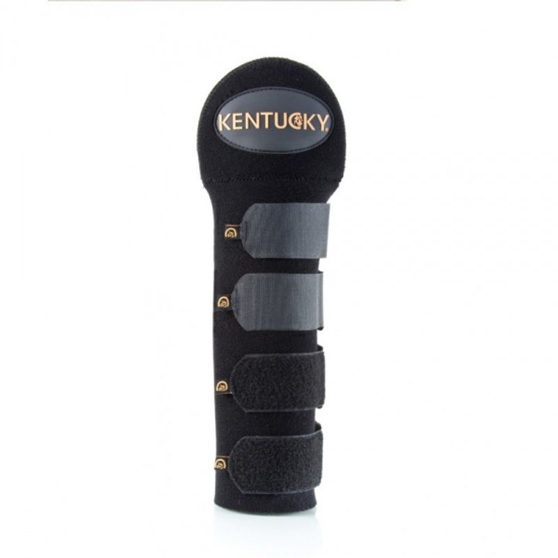 Kentucky Tailguard / Tailbag
