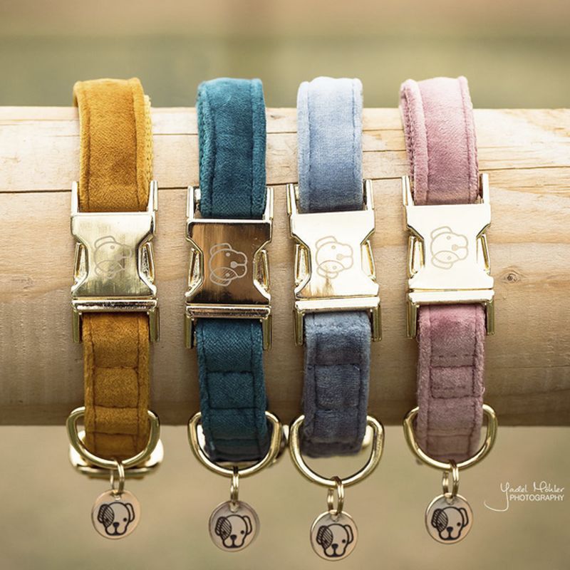 Kentucky Dog Collar Velvet