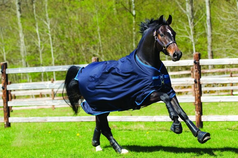 Amigo Bravo 12 100g Turnout/ Navy/electric blue
