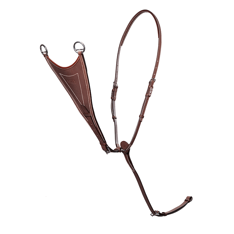 CWD Antibit Martingal