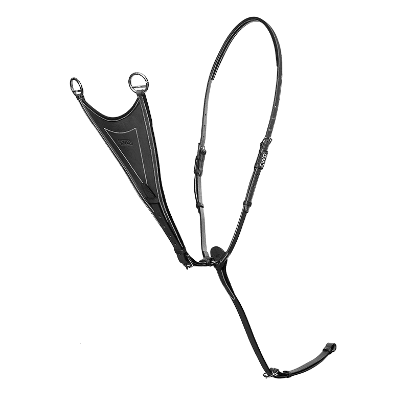 CWD Antibit Martingal
