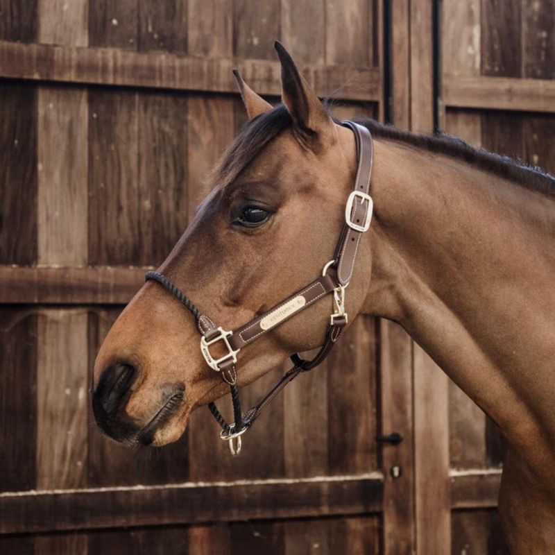 Kentucky Leather Rope Halter