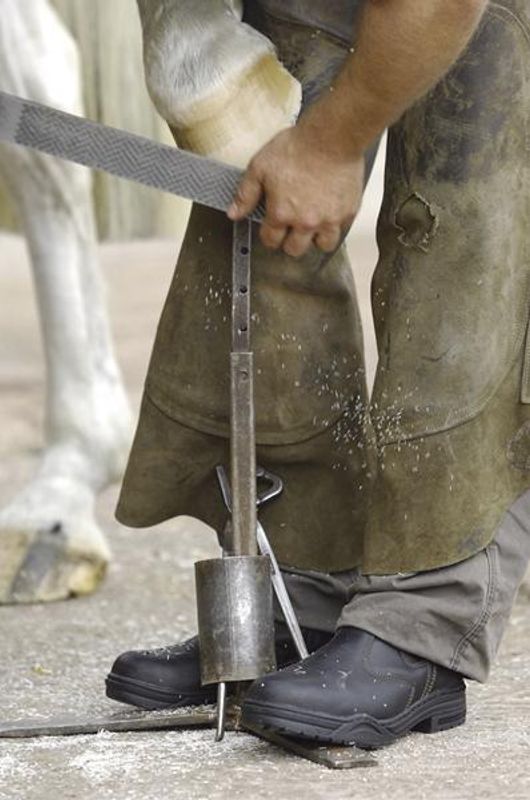 Mountain Horse Protective Jodhpur