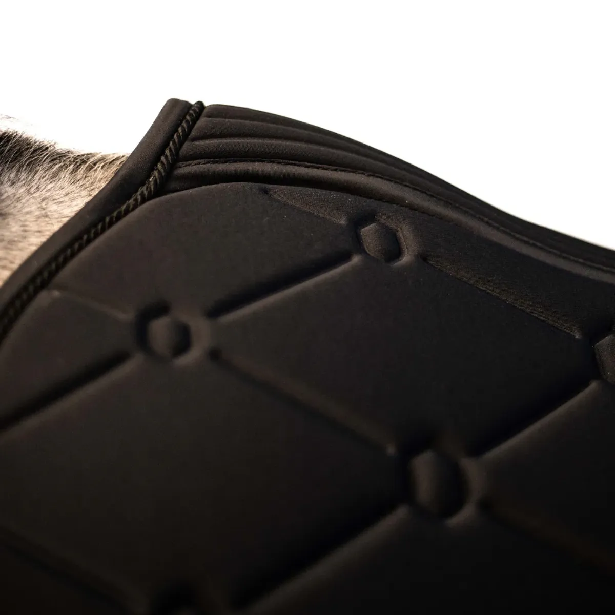Samshield SpineShield Embroidery saddle pad jumping