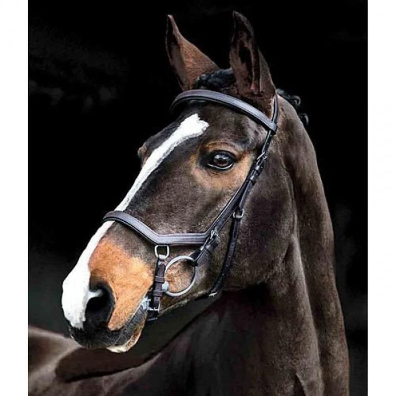 Rambo Micklem Competition Bridle  