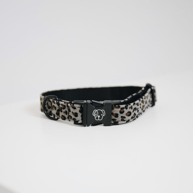 Kentucky Dog Collar Leopard