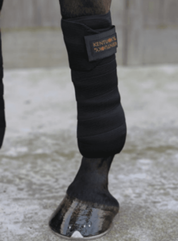Kentucky Working Bandage Pad Absorb