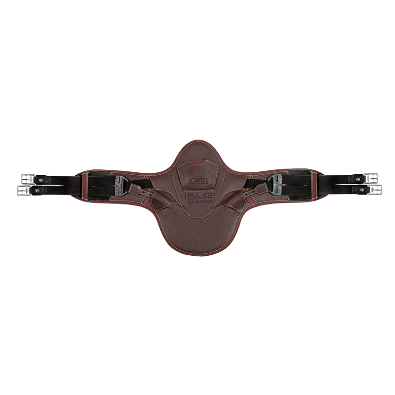 CWD iPulse girth by ARIONEO