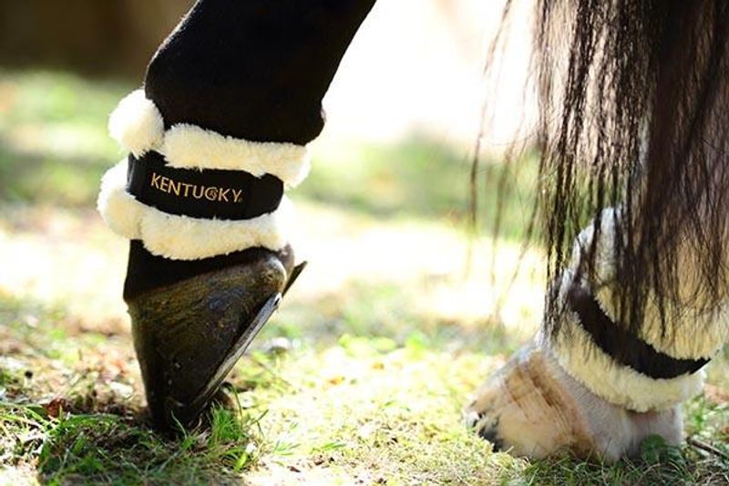 Kentucky Sheepskin Pastern Wrap
