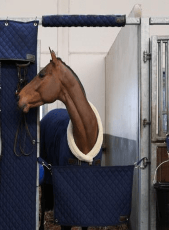 Kentucky Head Protector
