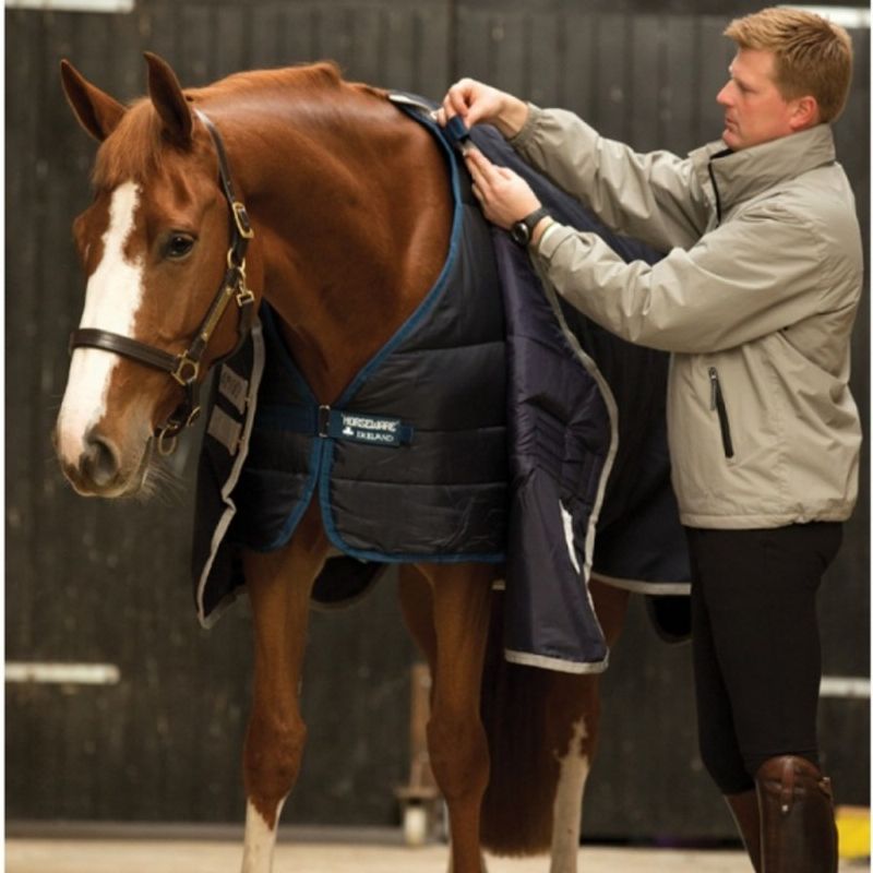 Horseware Liner 100g