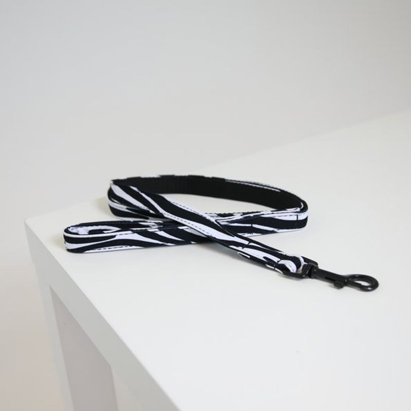 Kentucky Dog Lead Zebra