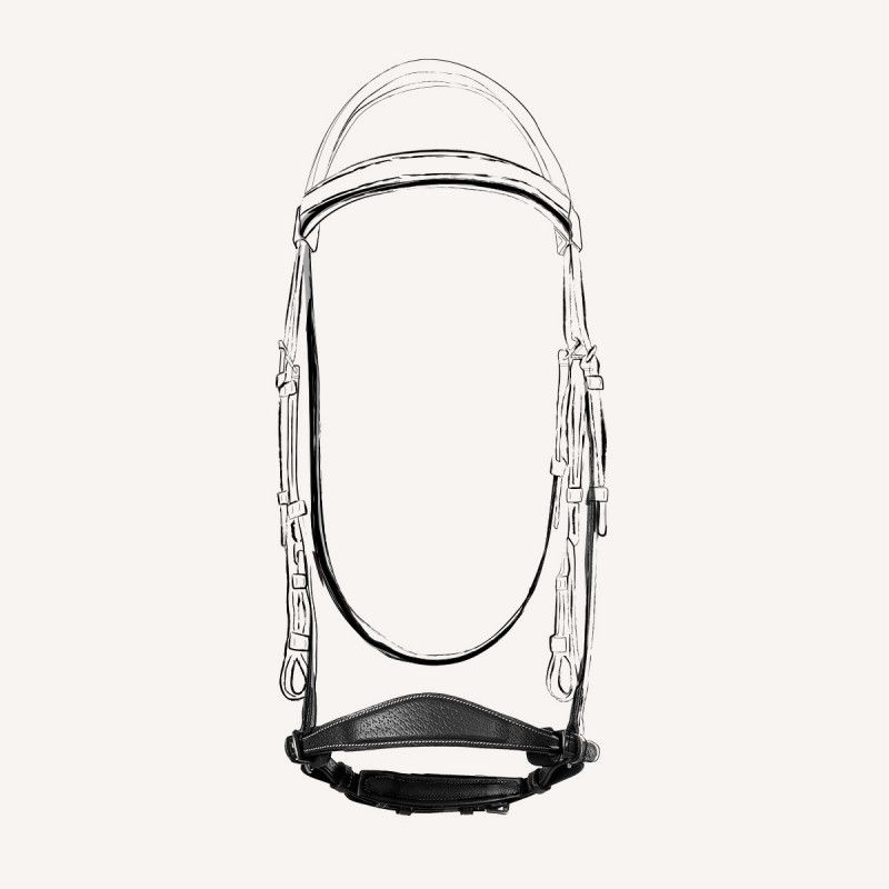 Butet Drop noseband