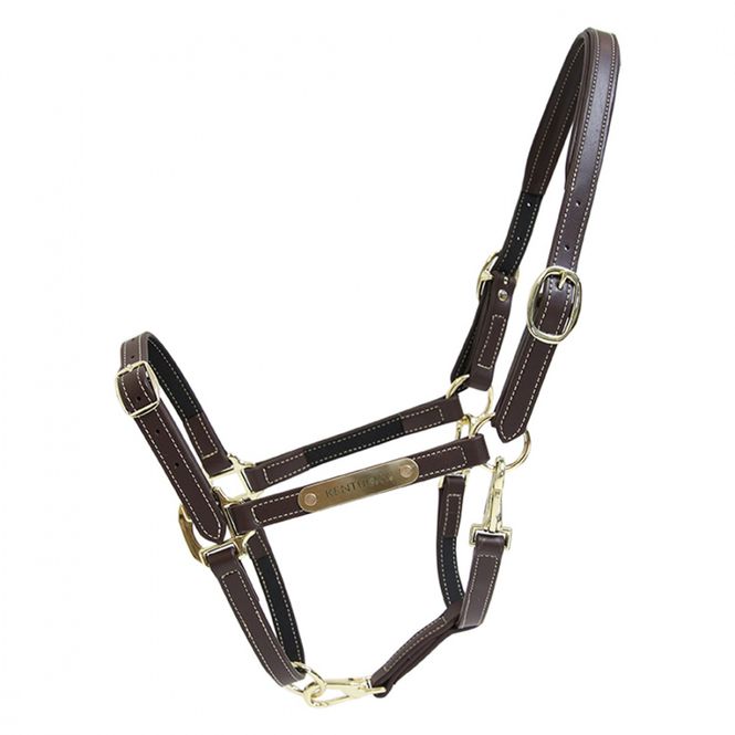 Hovedbilde Kentucky Nose Buckle Halter