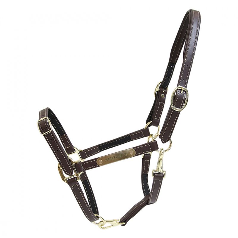 Kentucky Nose Buckle Halter