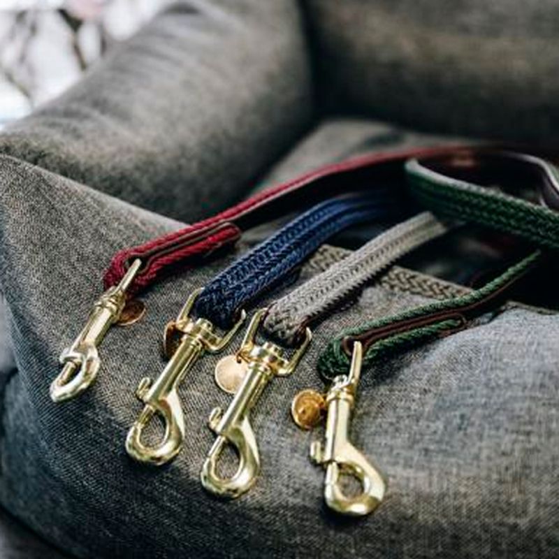 Kentucky Dog Lead Plaited Nylon