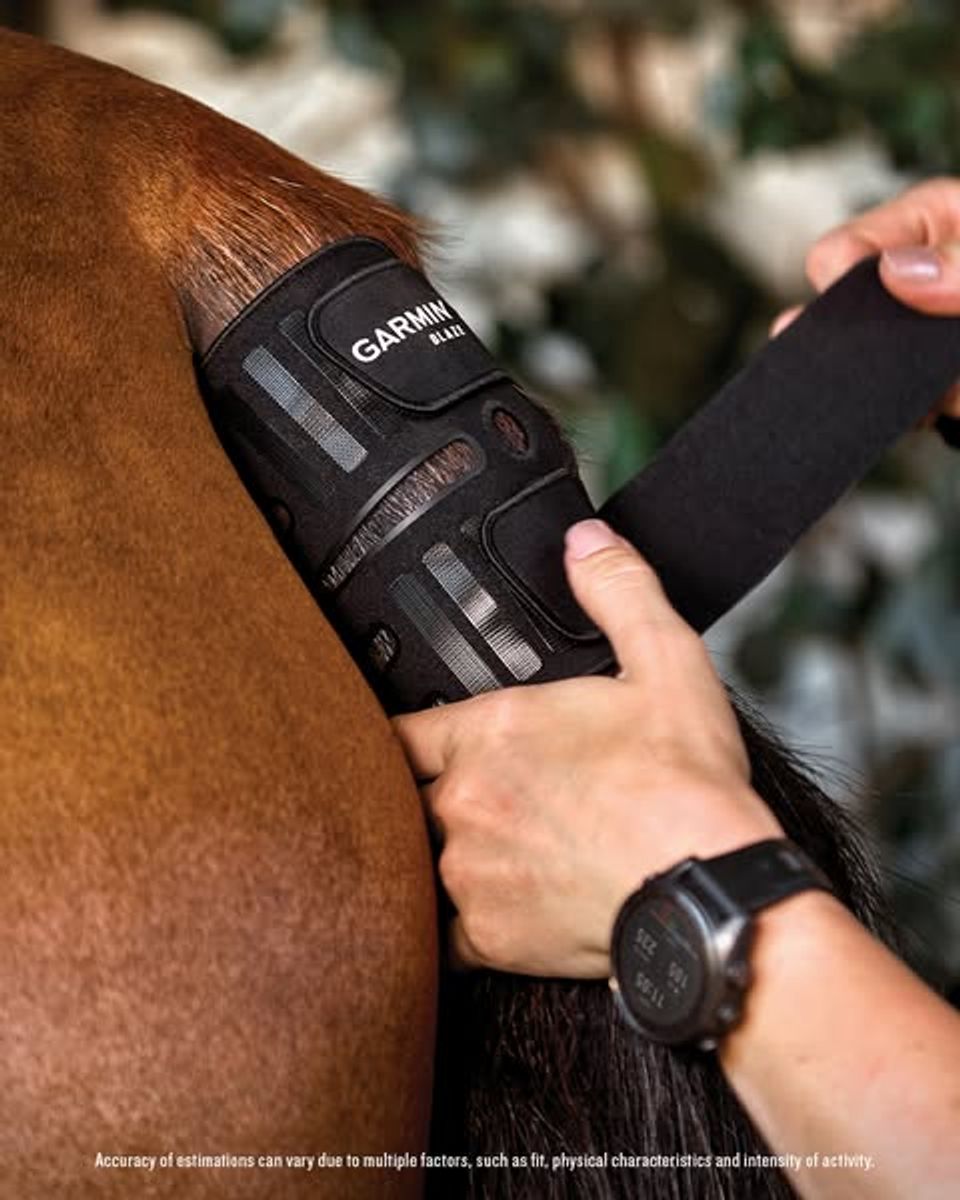 Blaze™ helsesystem for hester
