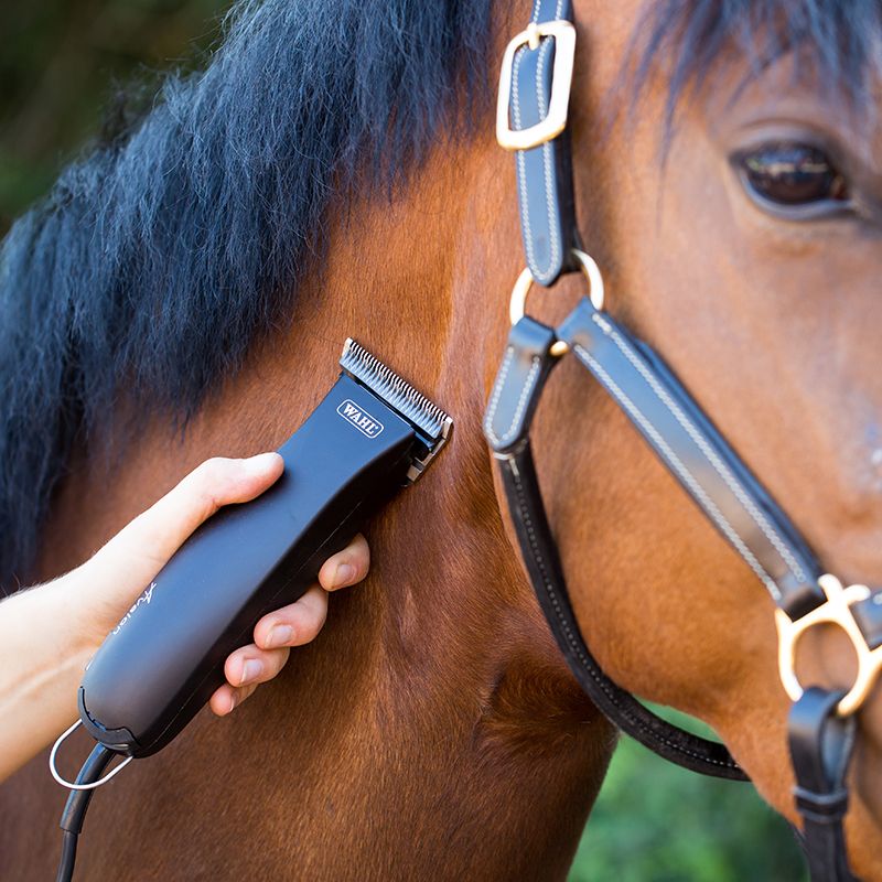 KLIPPEMASKIN WAHL AVALON - NIMH BATTERI