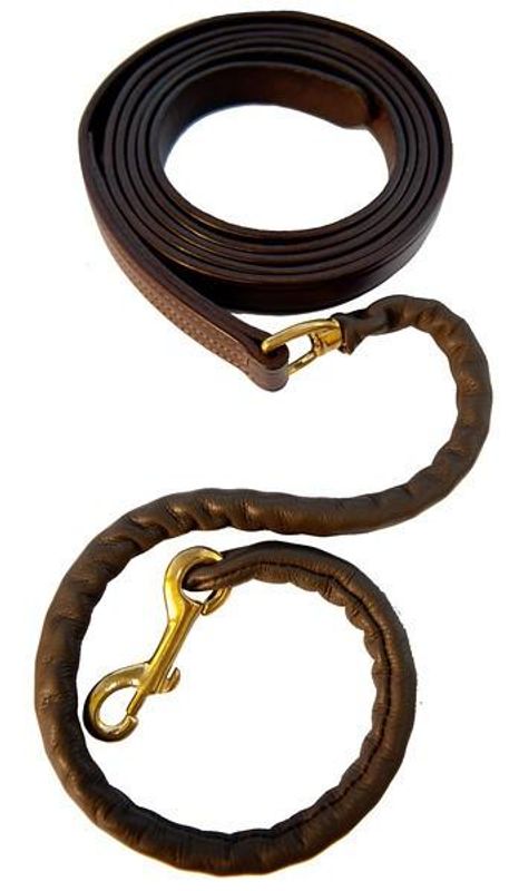Kentucky Leather Covered Chain Lead