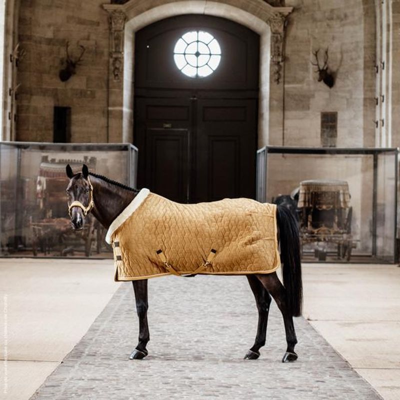Kentucky Velvet Showrug 