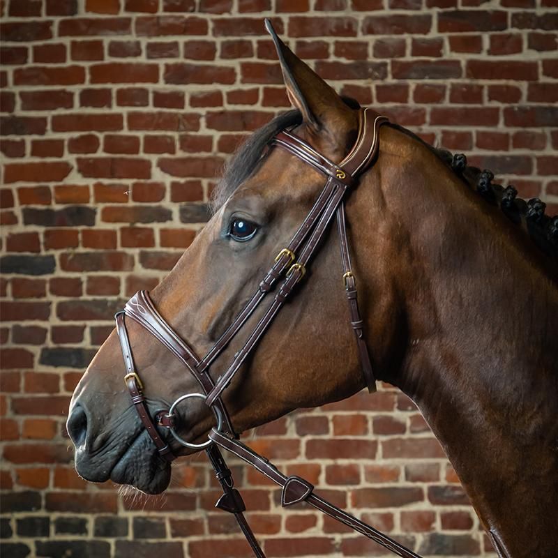 Dyon Anatomic Flash Noseband Bridle D Collection