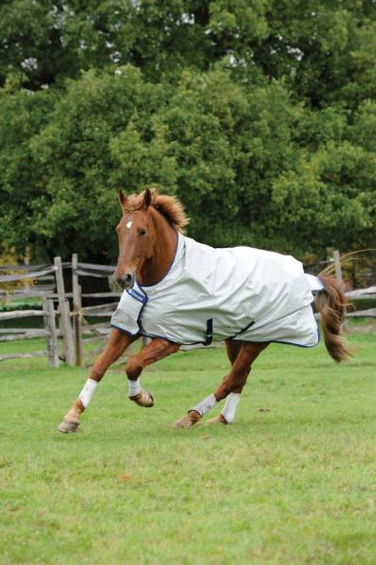 Bucas Power Turnout High Neck