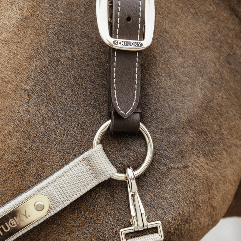 Kentucky Nylon Anatomic Halter