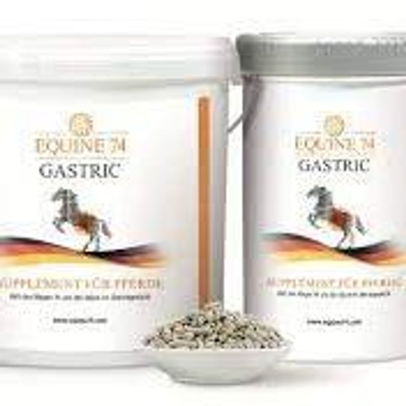 Equine 74 Gastric - 2 kg - Powder