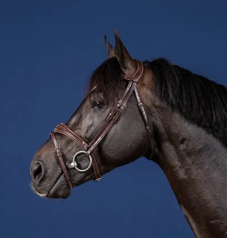 Anatomic Flash Noseband Bridle US Collection