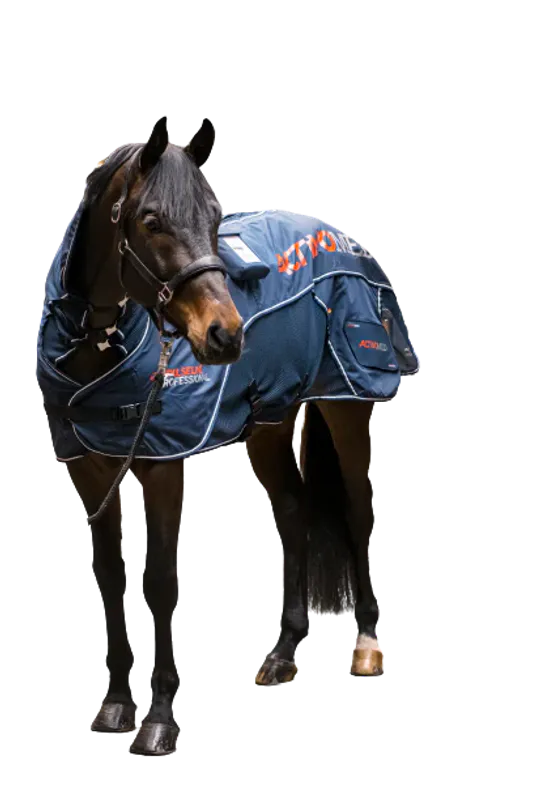 Professional Combi Blanket