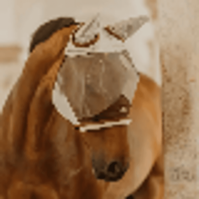 Kentucky Fly Mask Skin Friendly w/Ears