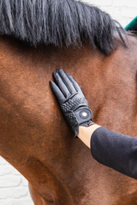 Kentucky Riding Gloves Grip Glitter - black