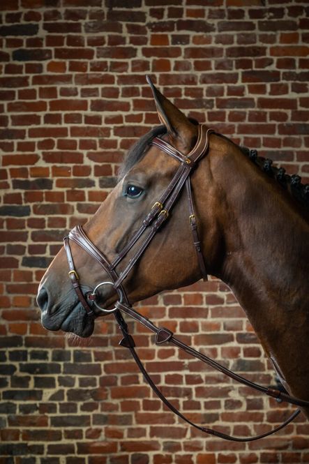 Hovedbilde Dyon Anatomic Flash Noseband ...