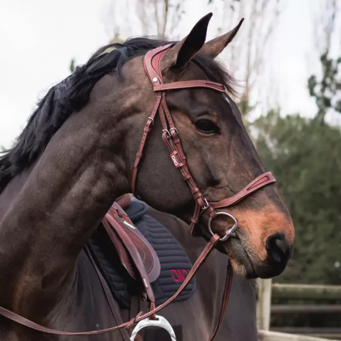 Hovedbilde CWD FlexMotion Bridle 