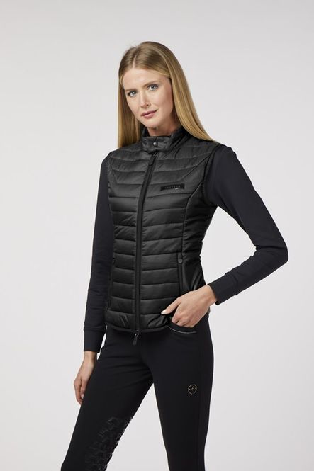 Hovedbilde Vestrum Cattolica Vest