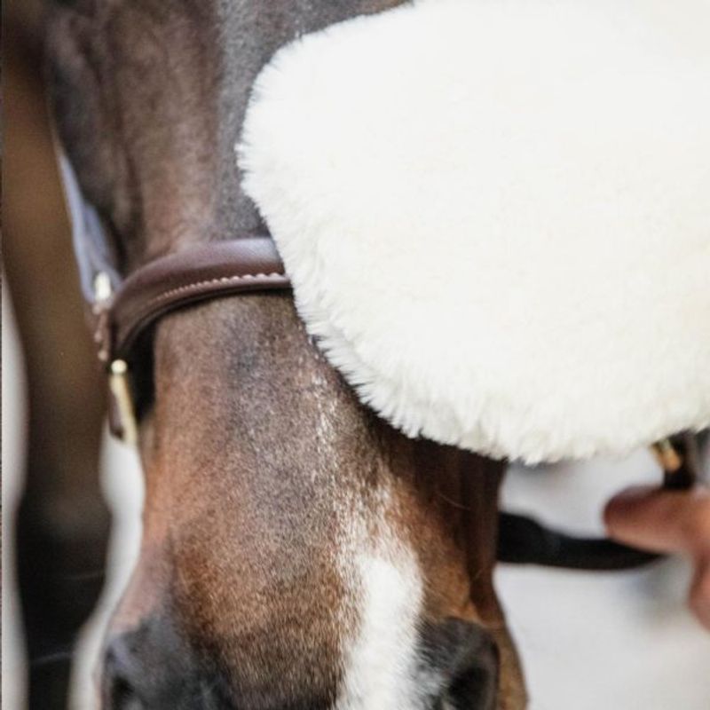 Grooming Deluxe Sheepskin Grooming Glove Naturel