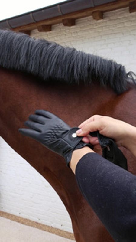 Kentucky Riding Gloves Grip Glitter - black